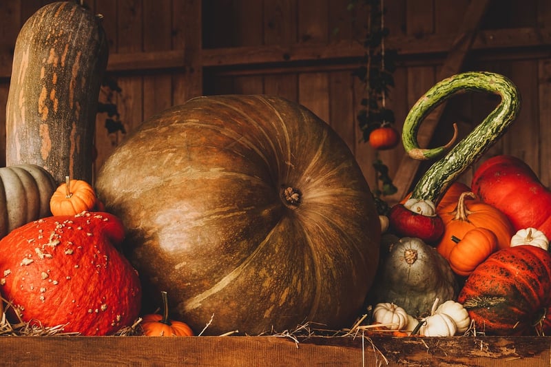 Shared Harvest