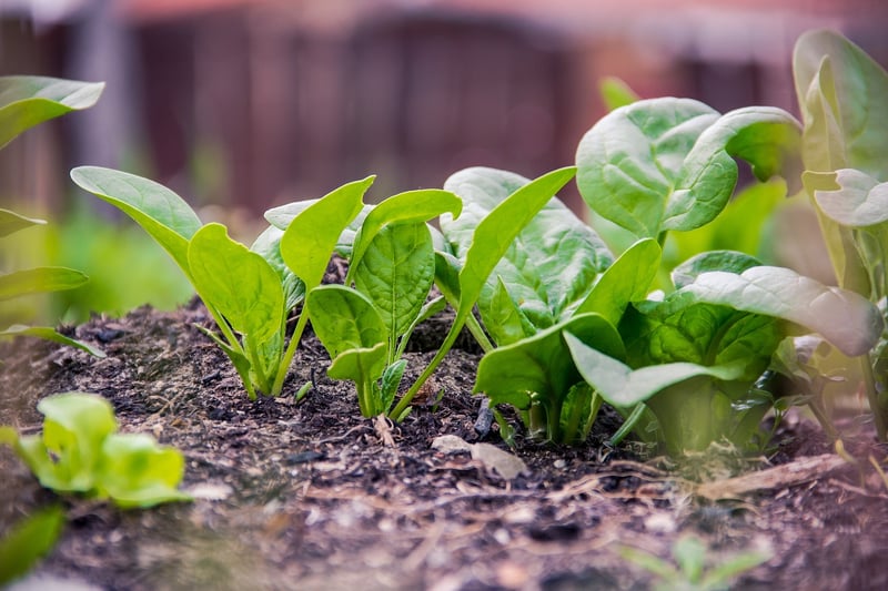 Soil Health